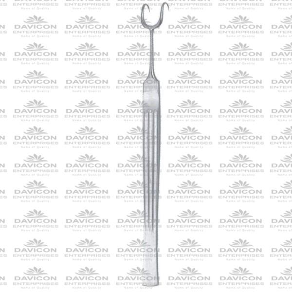 2 Prongs Hook, Cottle Retractor