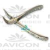 DENTAL-INSTRUMENTS-Tooth-Extracting-Forceps-Very