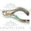 Stainless-steel-dental-tooth-lower-molars