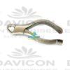 Stainless-steel-dental-tooth-lower-molars